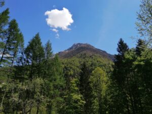 IMG_20230506_125607-1