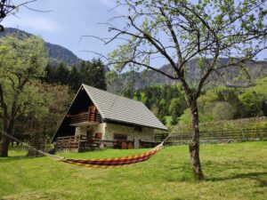 IMG_20230507_114247-1