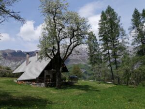 IMG_20230507_124234-1