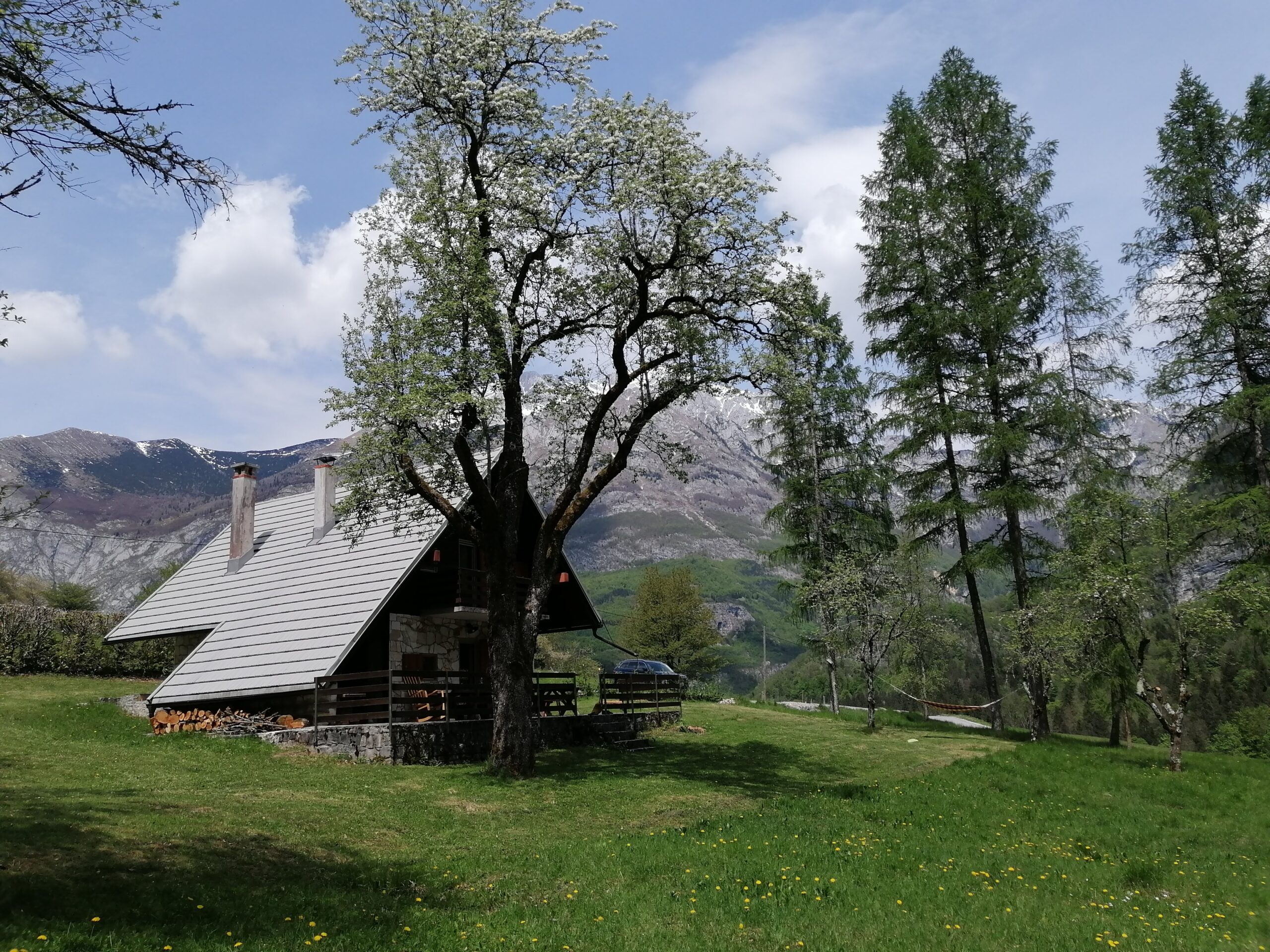 IMG_20230507_124234-1